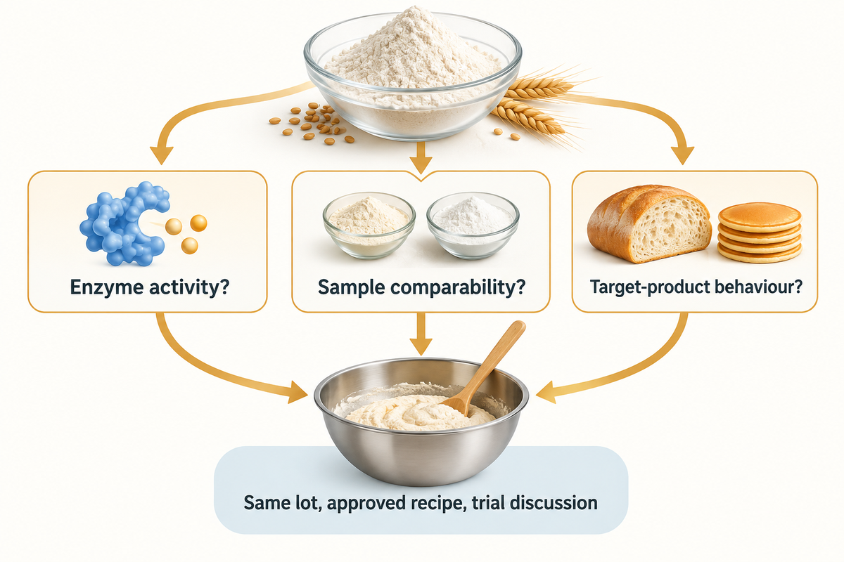 Three next questions from a flour result: enzyme activity, sample comparability and target-product behaviour.